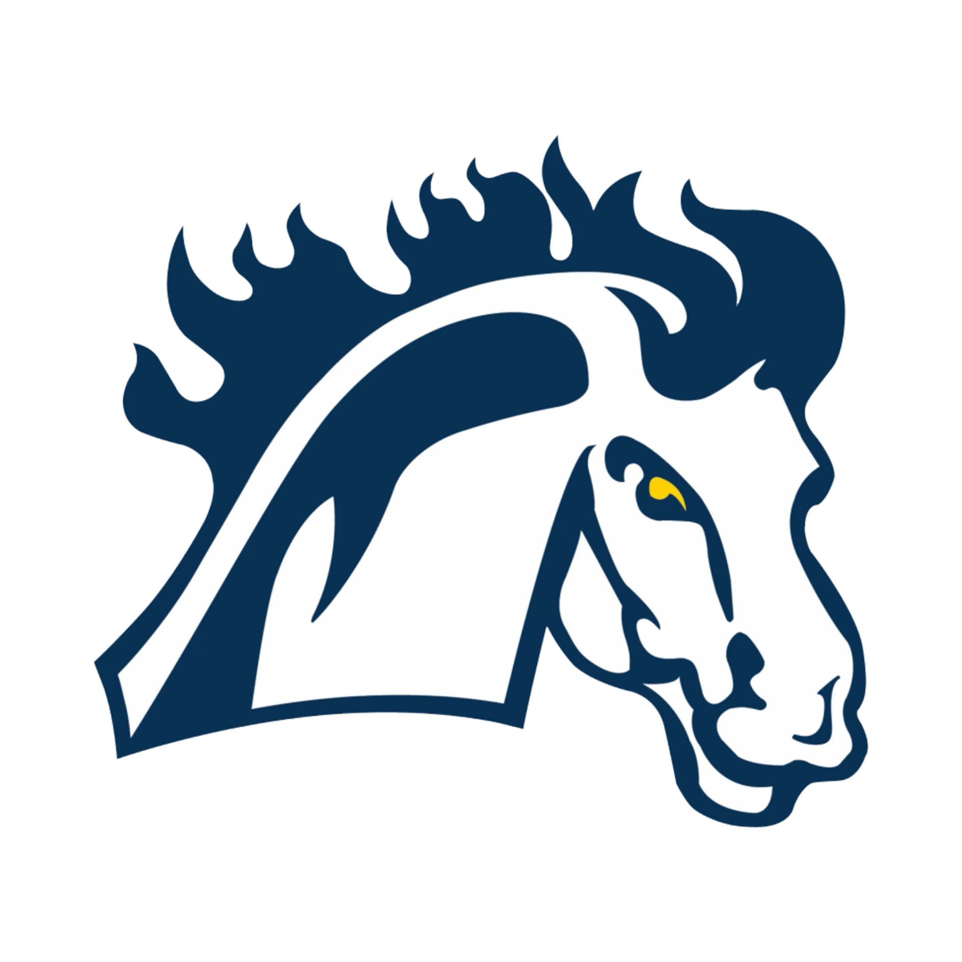 Mount Mercy University